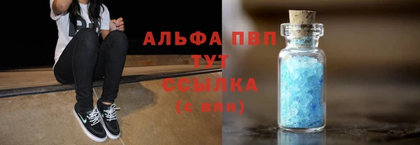 стафф Арсеньев
