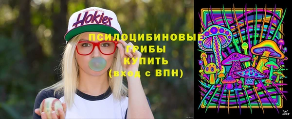 амф Аркадак
