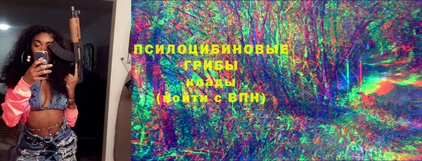 амф Аркадак