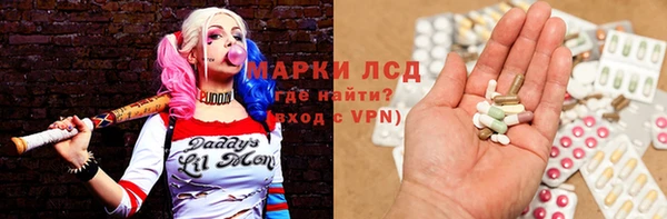 стафф Арсеньев