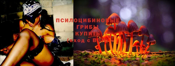 соль ск Балахна