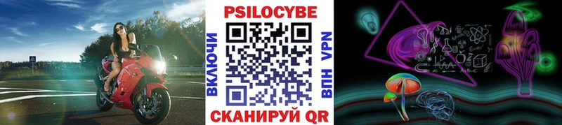 Псилоцибиновые грибы Psilocybe  площадка как зайти  Валдай 